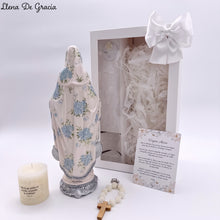 Load image into Gallery viewer, Virgen de la Medalla Milagrosa Clavel
