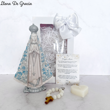 Load image into Gallery viewer, Virgen Maria, Nuestra Señora Aparecida Iris
